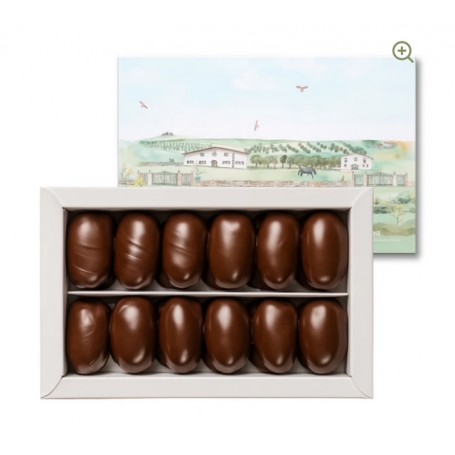 Dolcesano Dark Chocolate and Almond Box 500g