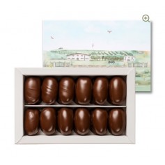 Box Dolcesano Fondente e Mandorla 500 gr