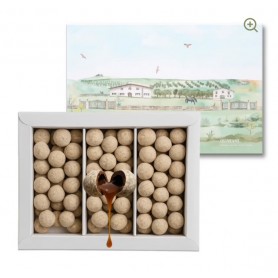 Box Maciocaffè 500 gr.